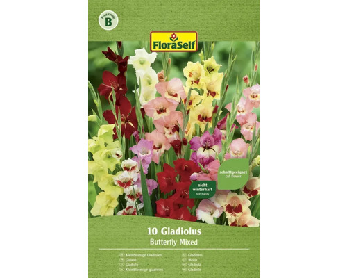 Blumenzwiebel FloraSelf Gladiolen 'Schmetterlinge Mischung'10 Stk