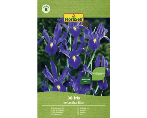 Blumenzwiebel FloraSelf® Iris blau 30 Stk