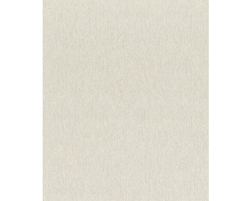 Papier peint intissé 608649 Sky Lounge Uni gris Papier peint avec une fine structure