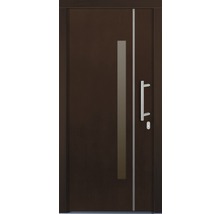 Porte d''entrée avec poignée et ouverture de lumière