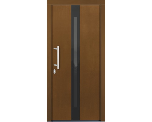 Porte d''entrée avec insert en verre et poignée