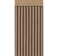 Akustikpaneel mit Holzlamellen für Wand und Decke