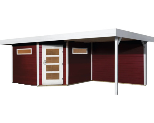 Abri de jardin avec auvent et porte