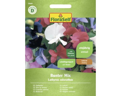 Pois de senteur mélange multicolore FloraSelf graines fixées graines de fleurs Sachet de graines pois de senteur mélange de couleurs FloraSelf