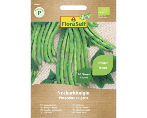 Haricots à rames bio Neckarkönigin FloraSelf Bio graines fixées semences de légumes