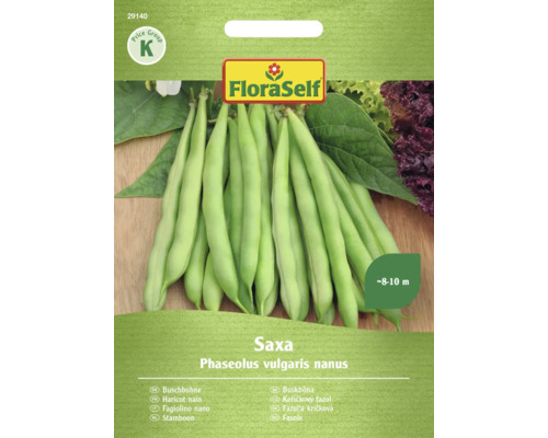 Haricots nains Saxa FloraSelf graines fixées semences de légumes