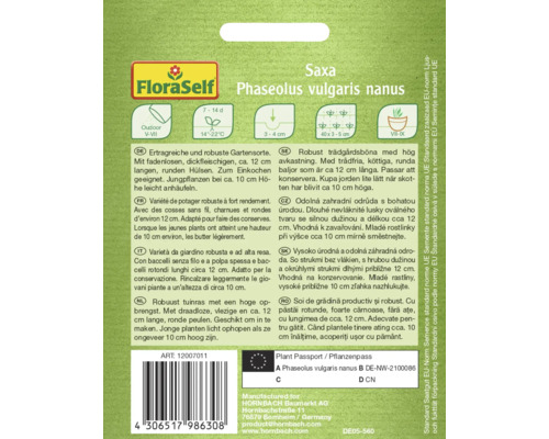 Graines de Phaseolus vulgaris nanus, une variété de potager robuste à fort rendement.