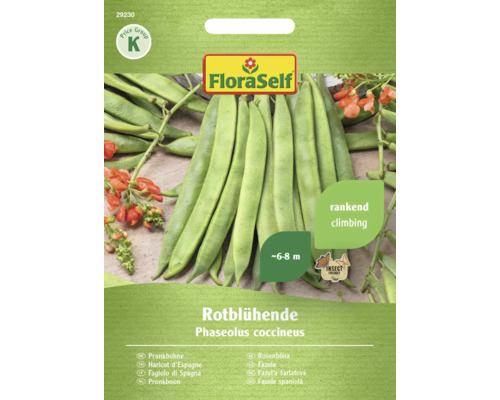 Haricots d'Espagne à fleurs rouges FloraSelf graines fixées semences de légumes Paquet de graines de haricots d''Espagne à fleurs rouges de FloraSelf