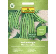 FloraSelf Stangenbohne Neckarkönigin Samenpackung