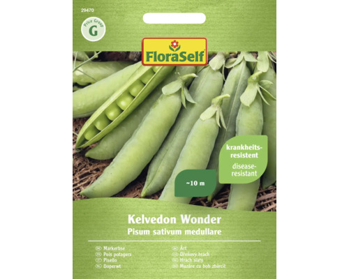 Petits pois Kelvedon Wonder FloraSelf semences non-hybrides graines de légumes Graines de pois potagers FloraSelf Kelvedon Wonder, résistantes aux maladies, environ 10 mètres