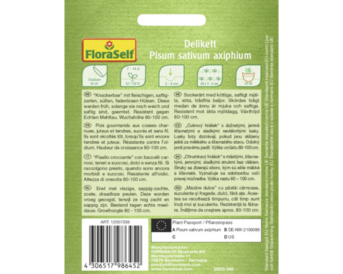 Delikett Pisum sativum axiphium Sachet de graines de pois