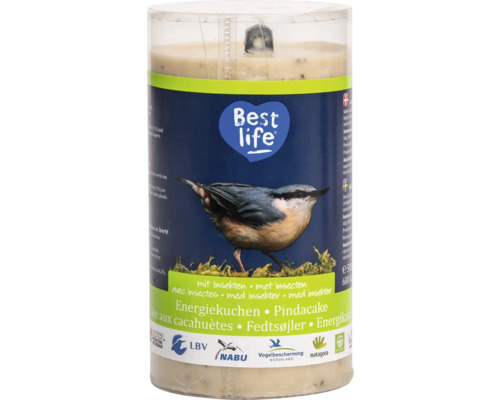 Nourriture pour oiseaux sauvages CJ Wildlife gâteau énergétique avec insectes 500 g nourriture pour toute l'année