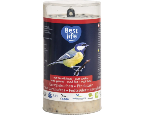 Nourriture pour oiseaux sauvages CJ Wildlife gâteau énergétique avec graines 500 g nourriture pour toute l'année