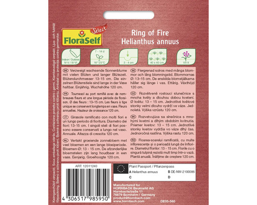 Description de la plante Ring of Fire Helianthus annuus