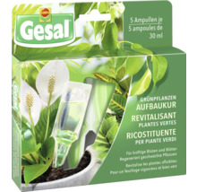 Gesal Revitalisant plantes vertes 5x30ml