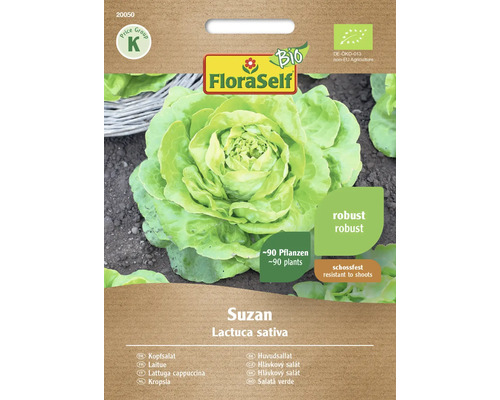 Laitue pommée bio Suzan FloraSelf Bio graines fixées graines de légumes