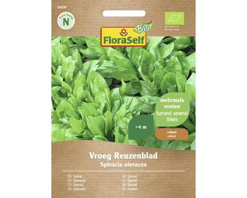 Bio Spinat Vroeg Reuzenblad F1 FloraSelf Bio Gemüsesamen Hybrid Saatgut