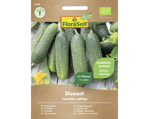 Bio Einlegegurke Diamant, F1 FloraSelf Bio Gemüsesamen Hybrid Saatgut