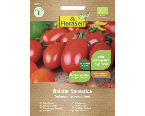 Tomate bio pour salade Bolstar Sensatica FloraSelf Bio graines hybrides graines de légumes