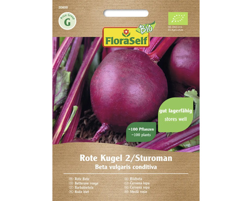 Bio Rote Beete Rote Kugel 2/Sturoman FloraSelf Bio Samenfestes Saatgut Gemüsesamen