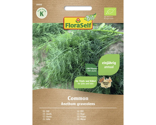 Bio Dill Common FloraSelf Bio Samenfestes Saatgut Kräutersamen