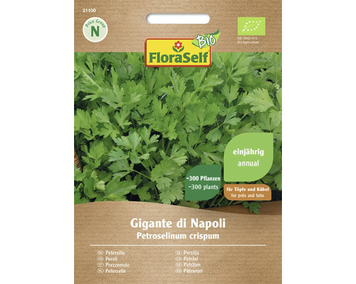 Persil bio Gigante di Napoli FloraSelf Bio semences non-hybrides graines de légumes