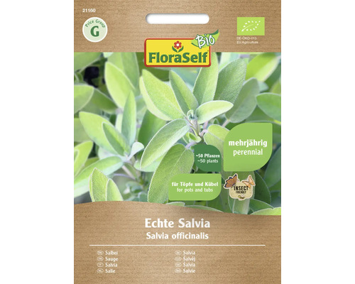 Sauge FloraSelf Bio graines de fines herbes