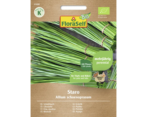 Ciboulette bio Staro FloraSelf Bio graines fixées graines de fines herbes