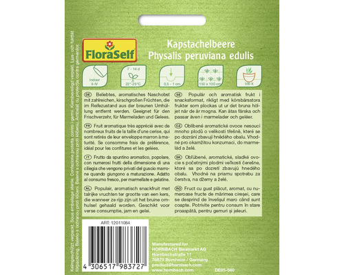 Samenpackung Kapstachelbeere Physalis peruviana edulis