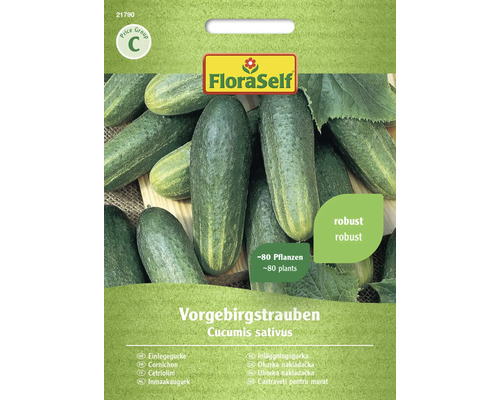 Cornichon Vorgebirgstrauben FloraSelf semences non-hybrides graines de légumes