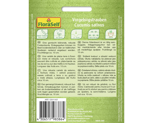 Sachet de graines Vorgebirgstrauben, nom botanique Cucumis sativus