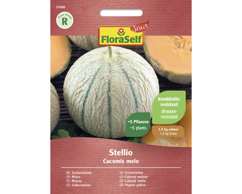 Zuckermelone FloraSelf Select Gemüsesamen