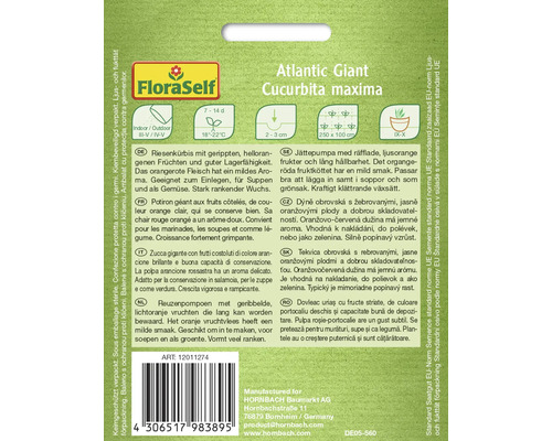 Sachet de graines de courge Atlantic Giant FloraSelf