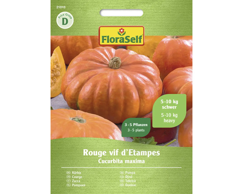 Potiron Rouge vif d'Etampes FloraSelf semences non-hybrides graines de légumes Graines de courge Rouge vif d''Etampes FloraSelf