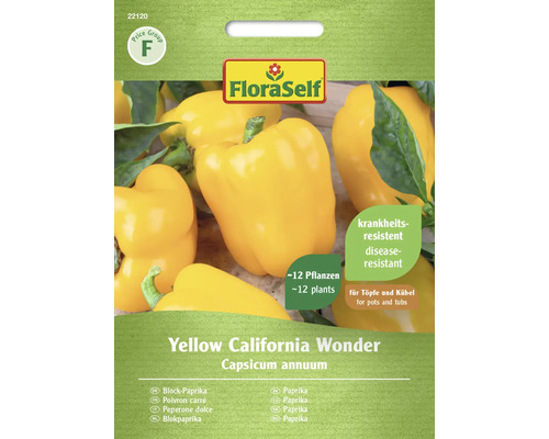 Poivron en bloc Yellow California Wonde FloraSelf semences non hybrides graines de légumes