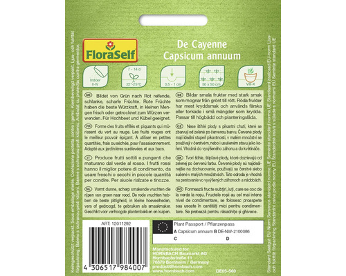 Piment de Cayenne de l''espèce Capsicum annuum, forme des fruits effilés et piquants qui mûrissent du vert au rouge.