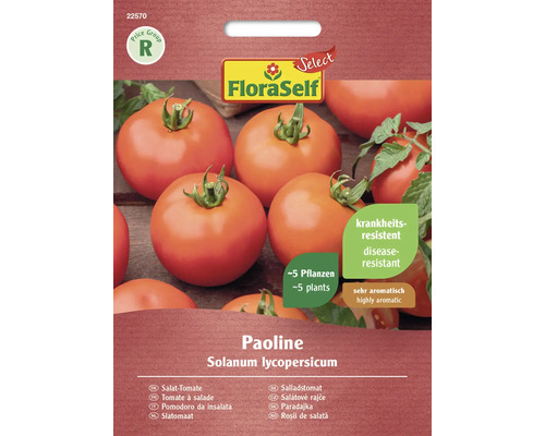 Tomate Paoline FloraSelf Select graines hybrides graines de légumes