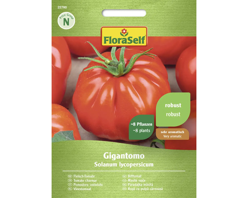 Tomate charnue Gigantomo FloraSelf F1 hybride graines de légumes