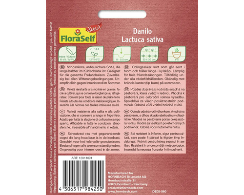 Sachet de graines Danilo Lactuca sativa pour pleine terre