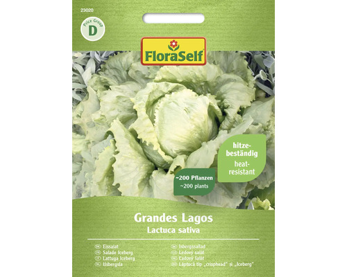 Salade Iceberg Grandes Lagos FloraSelf semences non-hybrides graines de fleurs Semences de laitue Iceberg, variété Grandes Lagos de FloraSelf