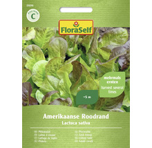 FloraSelf Laitue à couper américaine Roodrand Sachet de graines