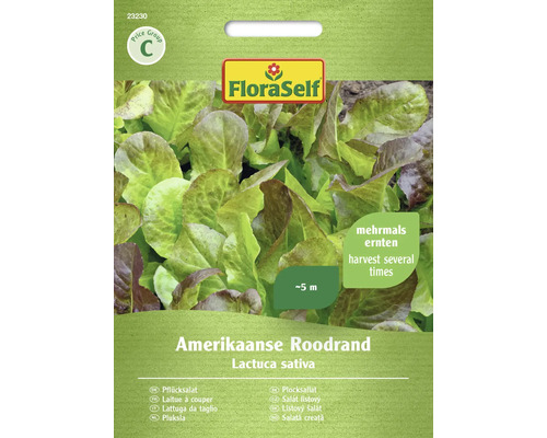 Salade Amerikaanse Roodrand FloraSelf semences non-hybrides graines de laitue FloraSelf Laitue à couper américaine Roodrand Sachet de graines