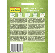 Sachet de graines Américaine Roodrand, Lactuca sativa, pour culture en extérieur