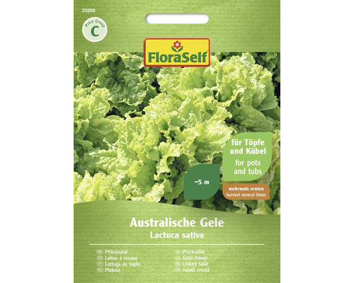 Salade Australische Gele FloraSelf semences non-hybrides graines de laitue