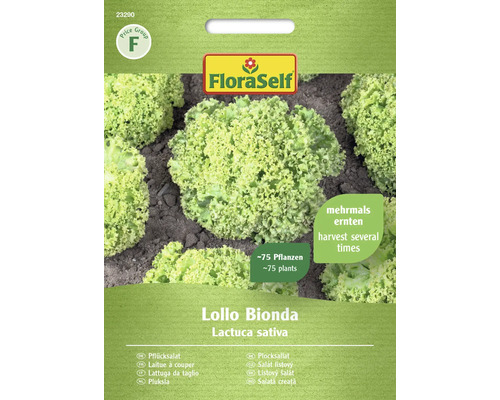 Salade à couper Lollo Bionda FloraSelfsemences non-hybrides graines de laitue