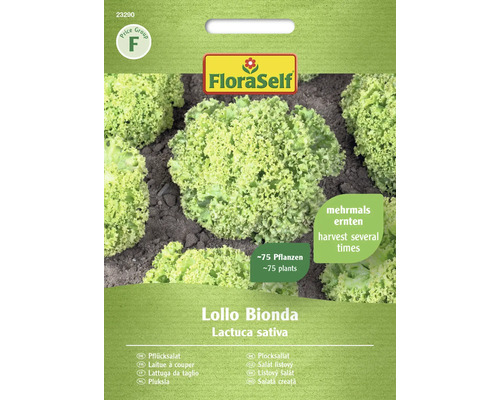 Salade à couper Lollo Bionda FloraSelfsemences non-hybrides graines de laitue Graines de laitue à couper Lollo Bionda FloraSelf pour environ 75 plants