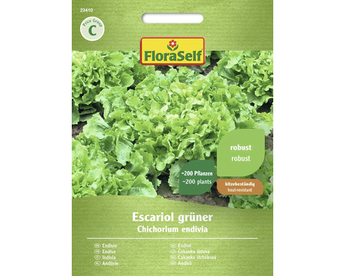 Escarole verte FloraSelf graines fixées graines de salade