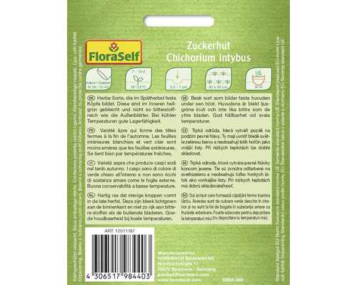 Sachet de graines de chicorée pain de sucre Chichorium intybus