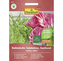 Italienische Salatmischung als Saatband von FloraSelf, geeignet für Töpfe und Kübel