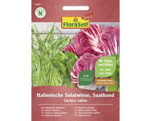 Salades italiennes FloraSelf Select ruban de graines graines de salade semences non-hybrides